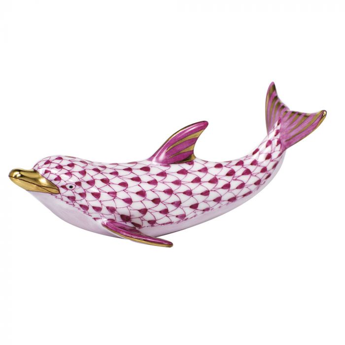 Playful Dolphin