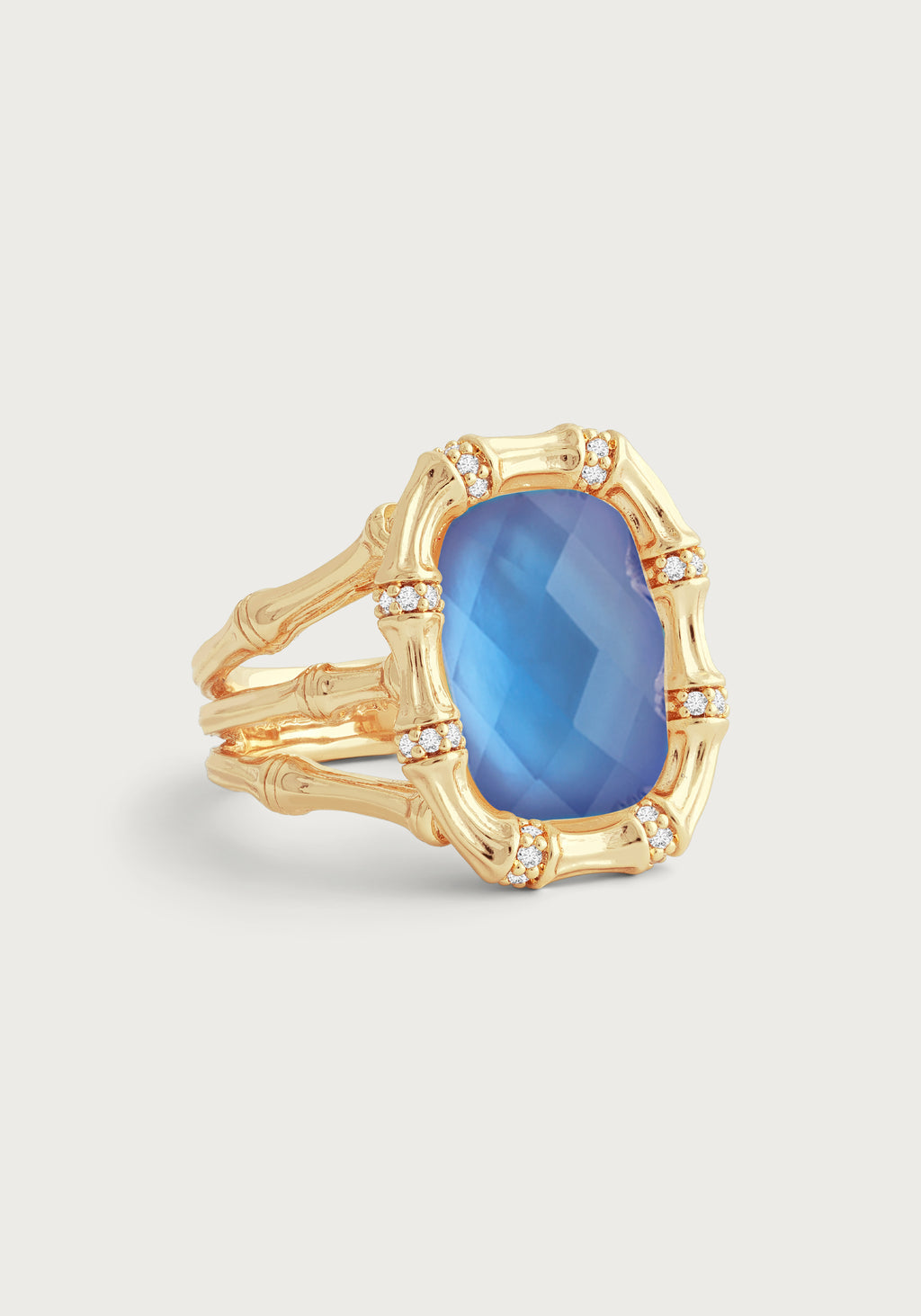 Bamboo with Stone Ring