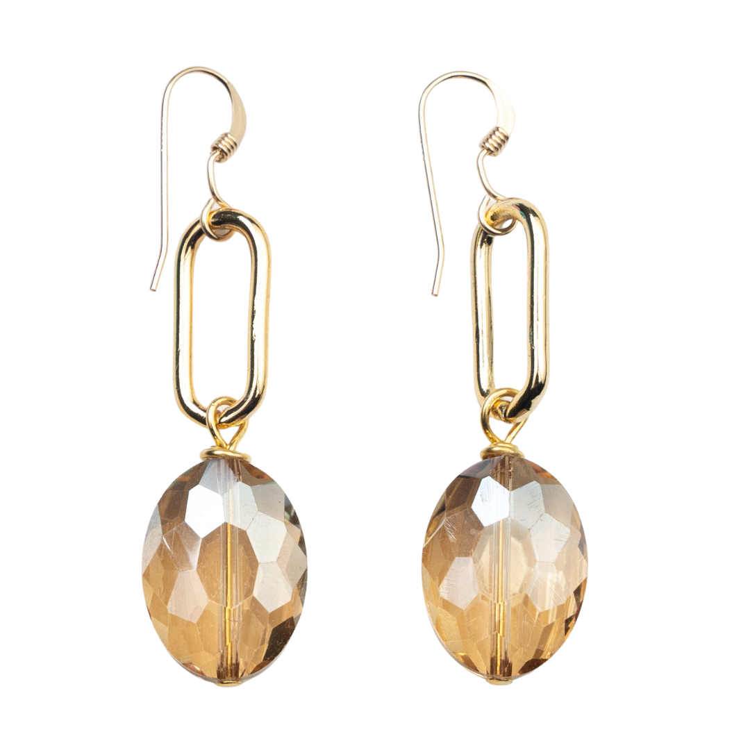 Lg Gold Paperclip/Crystal Earrings