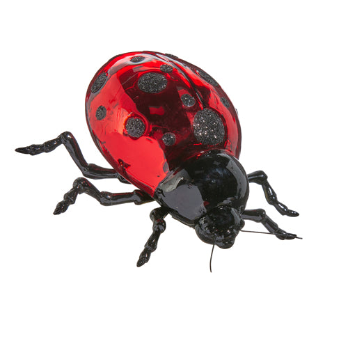EC Ladybug Ornament 4"