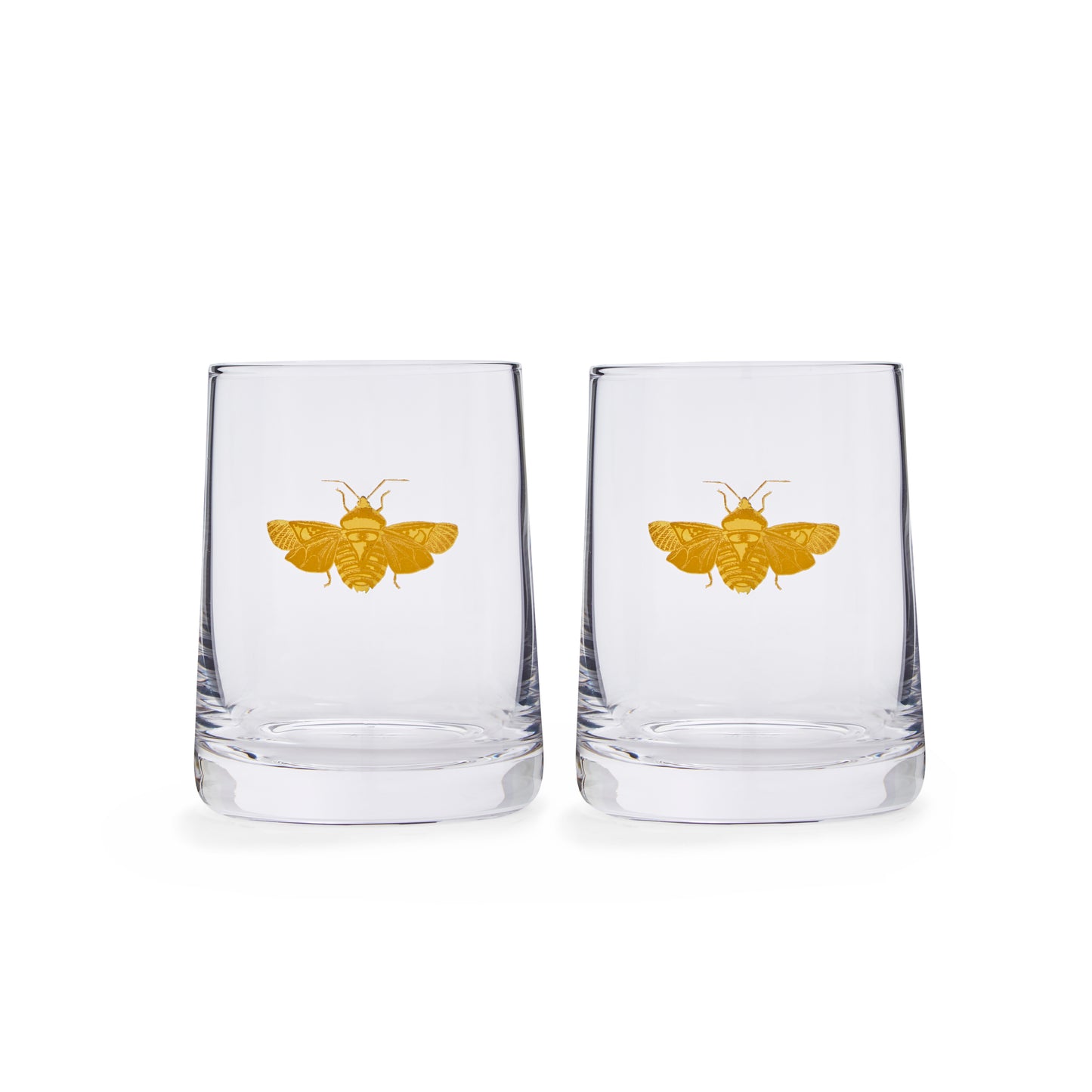 Set of 2 Creatures of Curiosity Glass Tumbler
