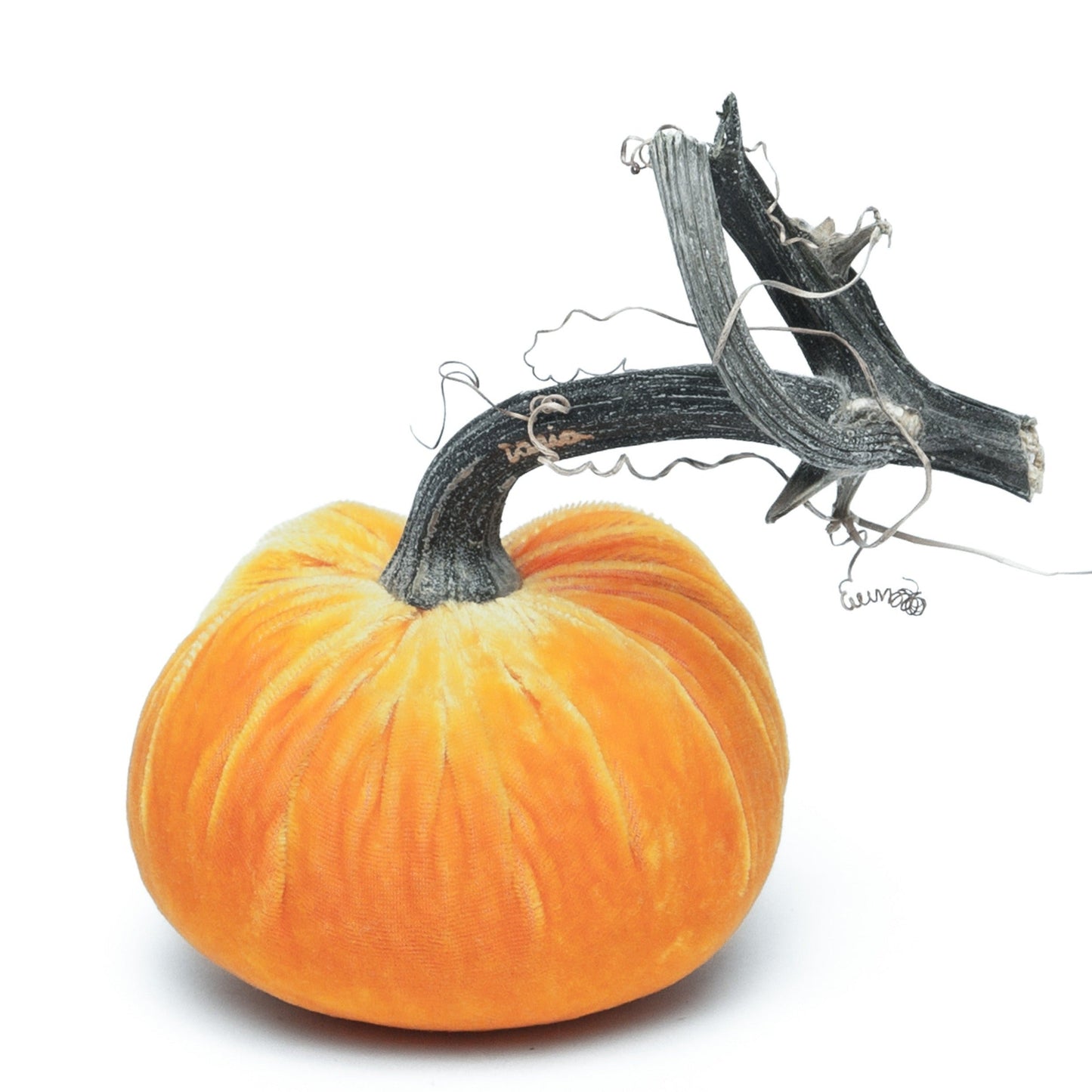 Silk Velvet Pumpkin by Hot Skwash