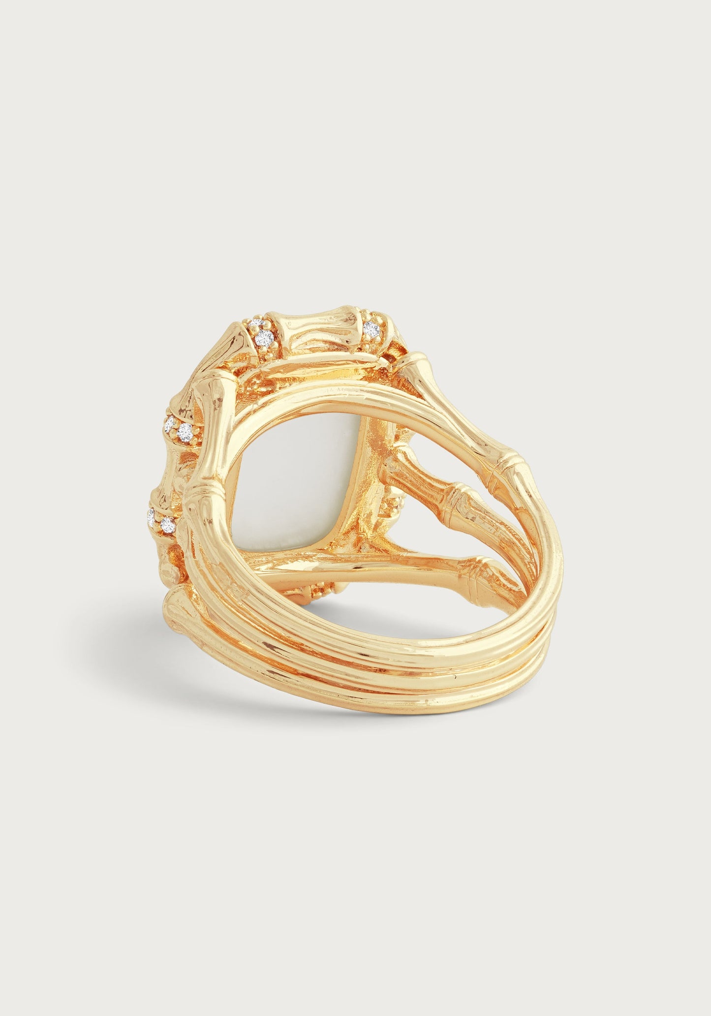 Bamboo with Stone Ring