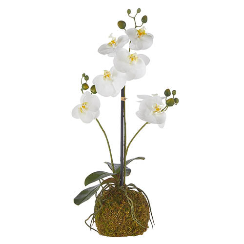 Real Touch White Orchid 23.75in