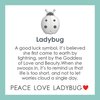 Ladybug Silver Pendant