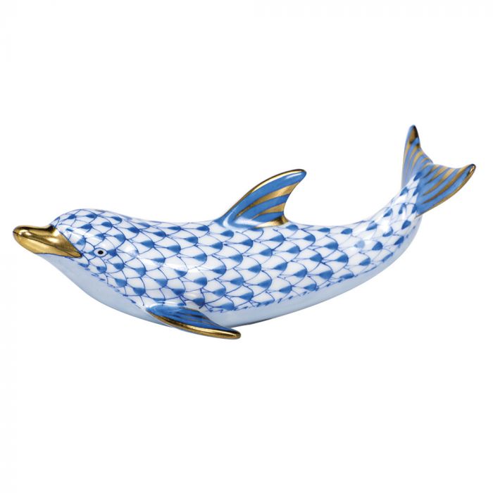 Playful Dolphin