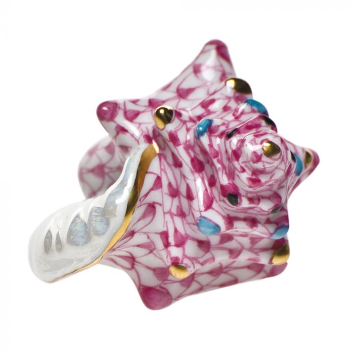 Small Conch Shell Raspberry