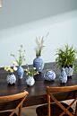 Eleanor Vase Blue Collection