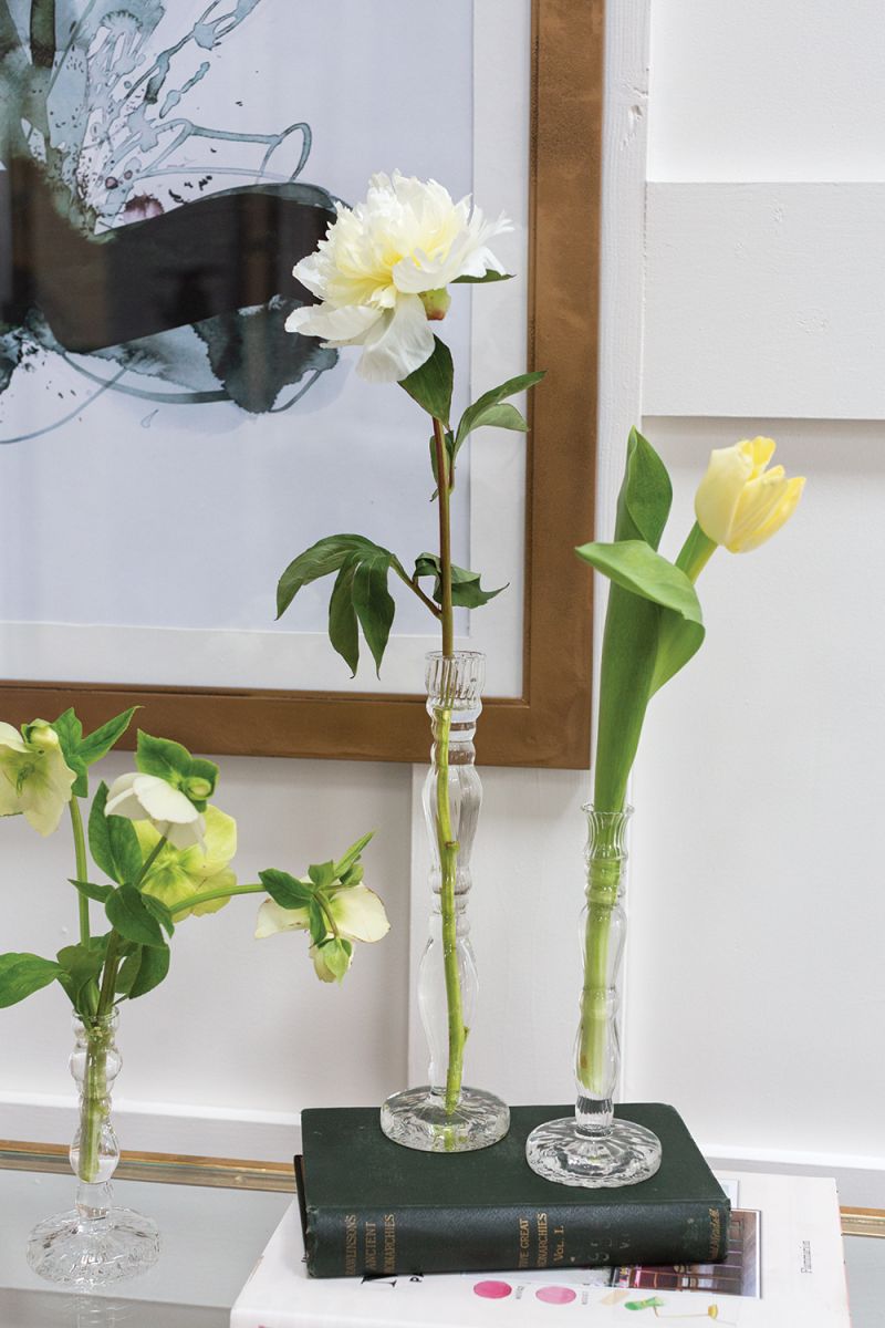 Klara Budvase