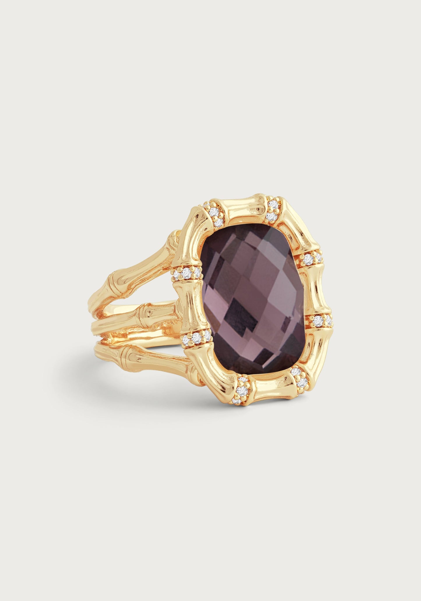 Bamboo with Stone Ring