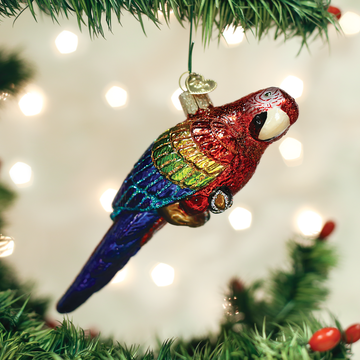 Tropical Parrot