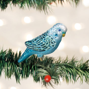 Miniature Parakeet (A)