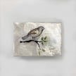 Capiz Rectangular Box with Single Bird Design