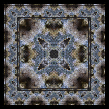 WoodPeckerTree Foulard Scarf 28"x28"