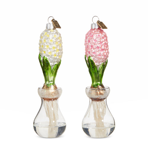 Ec 6" Hyacinth Ornament