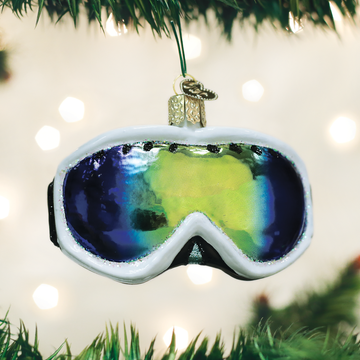 Ski Goggles