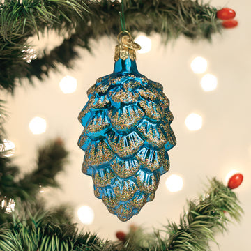 Ponderosa Pine Cone (A)