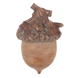 Acorn 5 in
