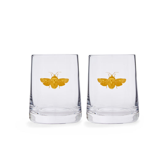 Set of 2 Creatures of Curiosity Glass Tumbler
