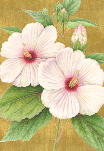 Hibiscus Eday Anniversary/Gold Bronze Card