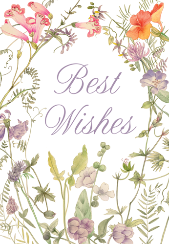 French Floral Eday N Size-Wedding Shower