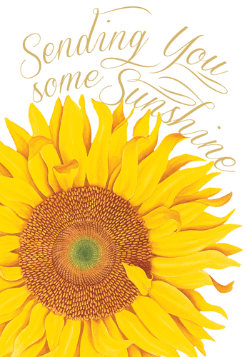 Sending Sunshine Eday N Size-Birthday
