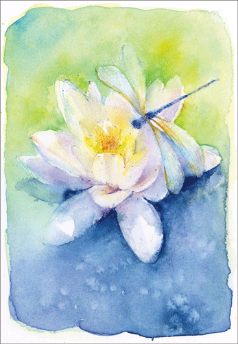 Dragonfly & Waterlily - Blank Card
