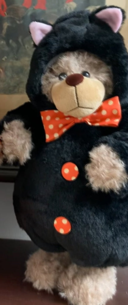 Puss Bear in Cat Costume