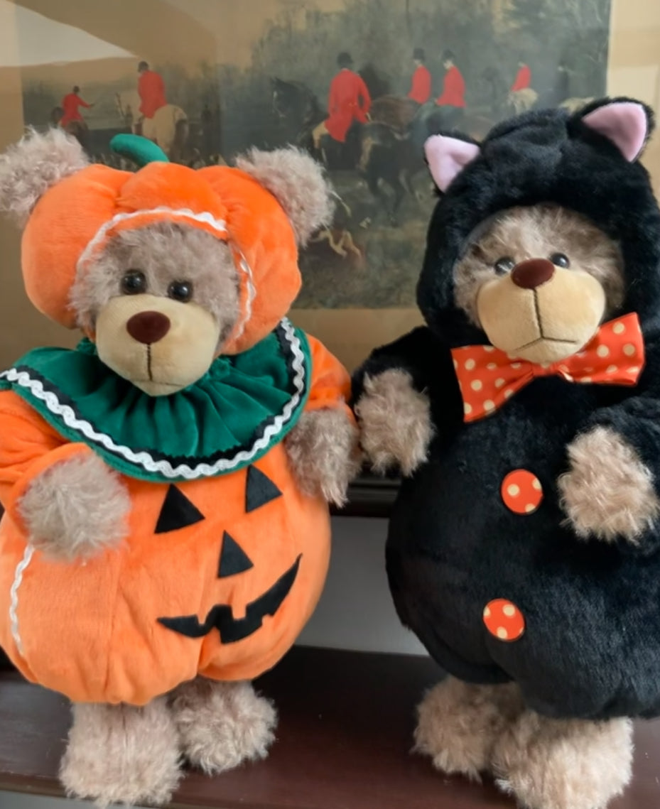 Puss Bear in Cat Costume