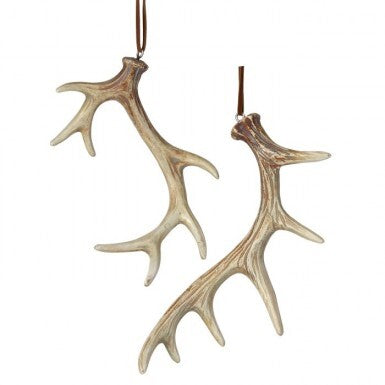 5-6" RESIN ANTLER ORNAMENT