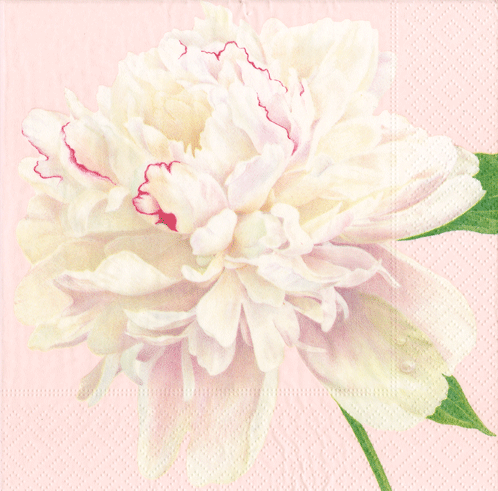 Duchess Peonies Blush Cocktail