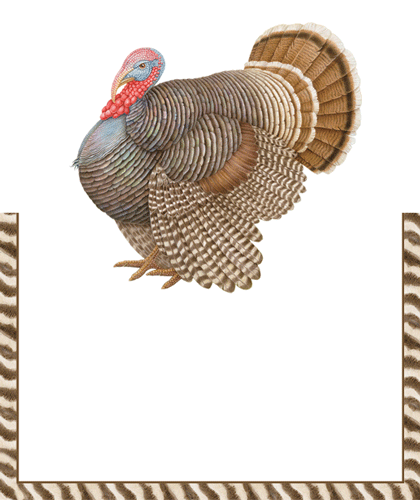 Thomas T. Byrd Place Cards 8-In Die Cut