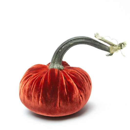 Silk Velvet Pumpkin by Hot Skwash