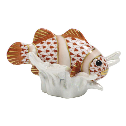 Clownfish