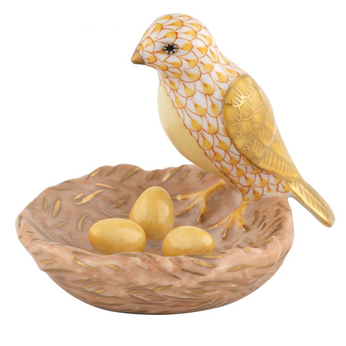 Bird With Nest