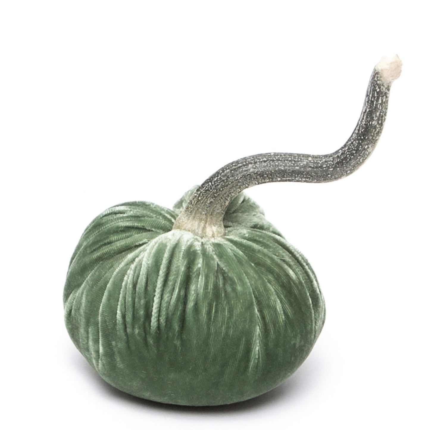 Silk Velvet Pumpkin by Hot Skwash