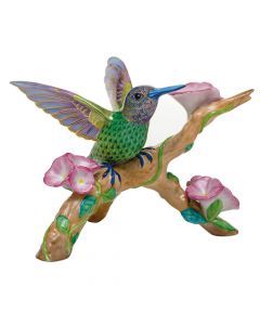 Hummingbird on Flower Branch