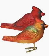 Winter Cardinal (A)
