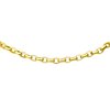 Signature Rolo Gold 4mm Chain Necklace