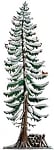 Woodland Winter Pine, painted