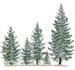 Winter Three Pines, painted